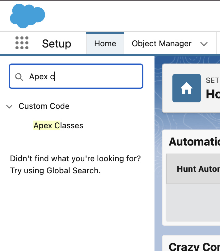 Apex-Class-Search-from-Setup-Secreenshot