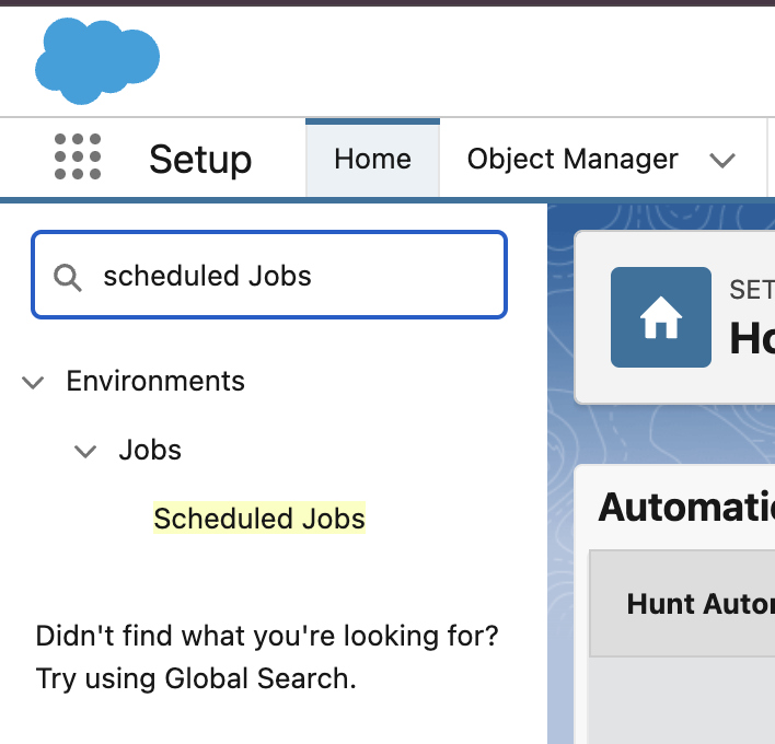 Scheduled Job Monitoring Page Screenshot