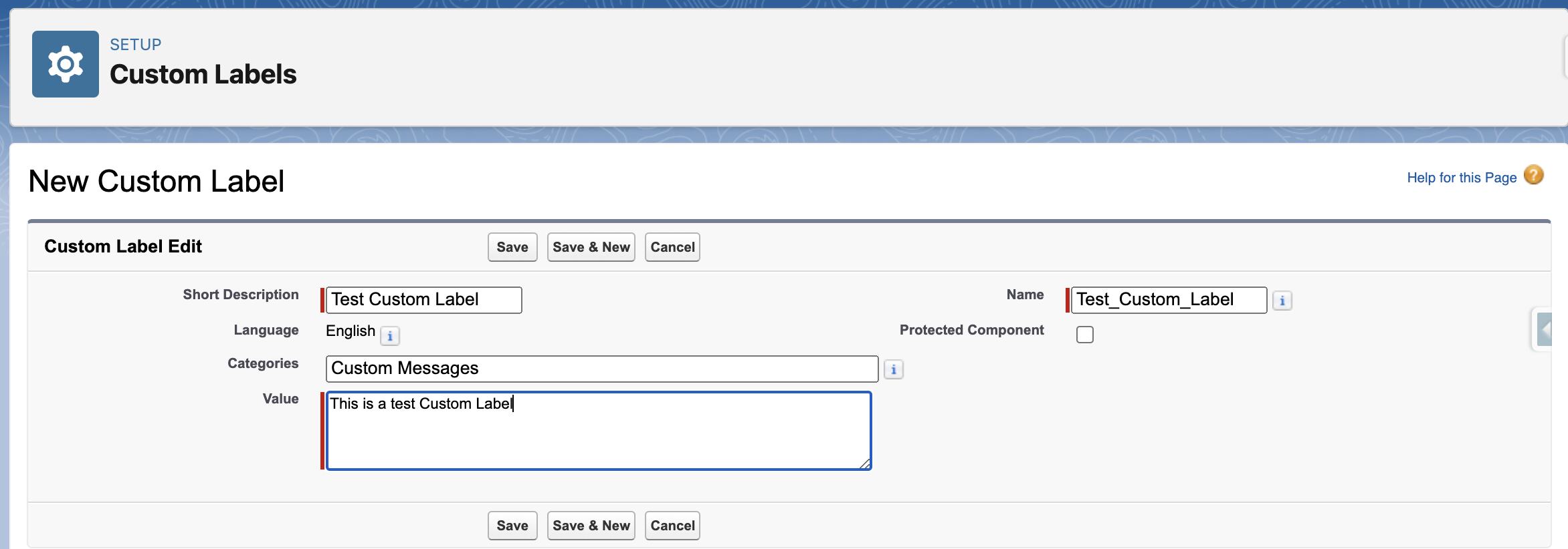 Screenshot of accessing Custom Labels in Apex filling the details