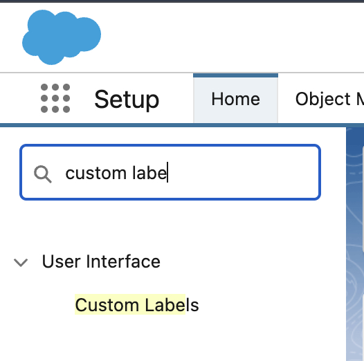 How to Access Custom Labels in Apex